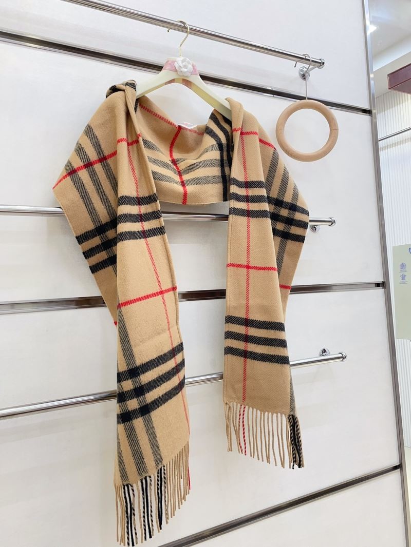 Burberry Caps Scarfs